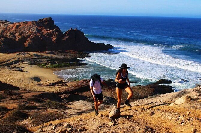 Sunrise Guided Desert Hike in Los Cabos - Quelele After the Walk: Lunch That Actually Makes Sense