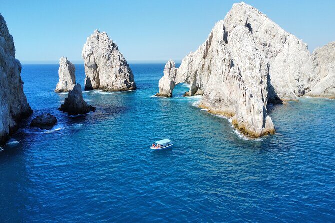 Sunrise Whale Watching boat tour with marine biologist - Sunrise whale watching in Cabo San Lucas: timing, boat size, and what you’re really paying for