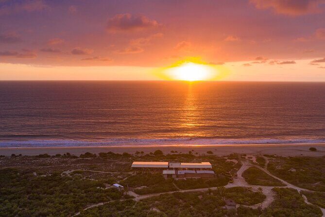 Sunset beach Camel ride with Mexican Buffet and Tequila Tasting - The Tierra Sagrada Stop: Baja Plants, Animals, and a Real Guide Moment
