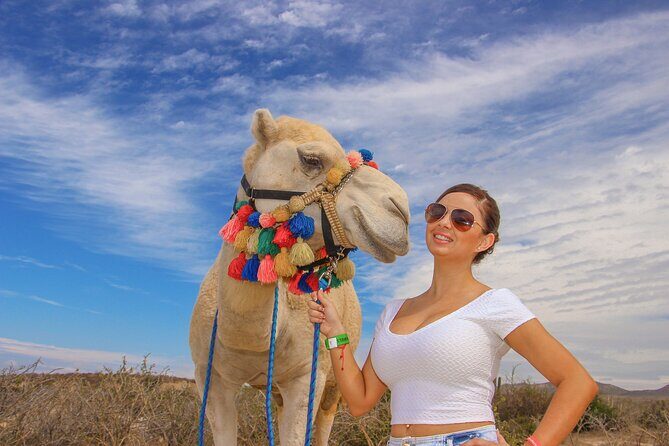 Sunset beach Camel ride with Mexican Buffet and Tequila Tasting - Price and Value: $119 Plus the Los Cabos Entrance Fee