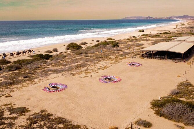 Sunset beach Camel ride with Mexican Buffet and Tequila Tasting - Timing and Pickup: Why This One Can Run Longer Than 3 Hours