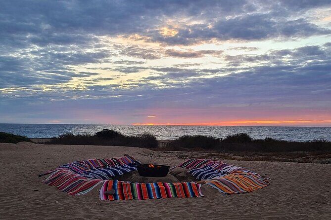 Sunset beach Camel ride with Mexican Buffet and Tequila Tasting - Group Size and Comfort: Weight Limit, Fitness, and Who Should Skip