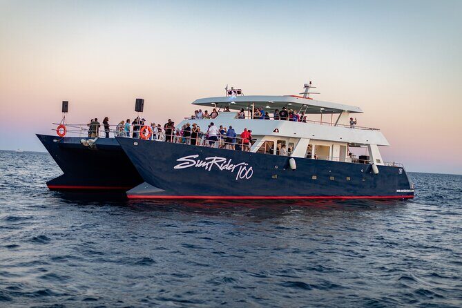 Sunset Dinner Cruise in Cabo San Lucas - Cruising the Sea of Cortez: what you’ll see before dinner even starts