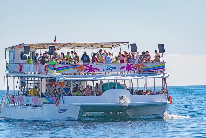Sunset Dinner Cruise with Tequila & tacos - The bar and the vibe: open bar, beer unlimited, and what you can do after eating
