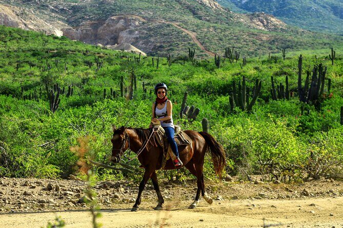 Tacos and Horseback Riding at Migriño beach - Playa Migriño in winter: the humpback whale bonus