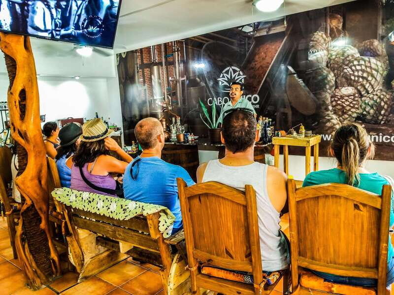 Tequila & Mezcal Tasting Experience - Key Takeaways Before You Go