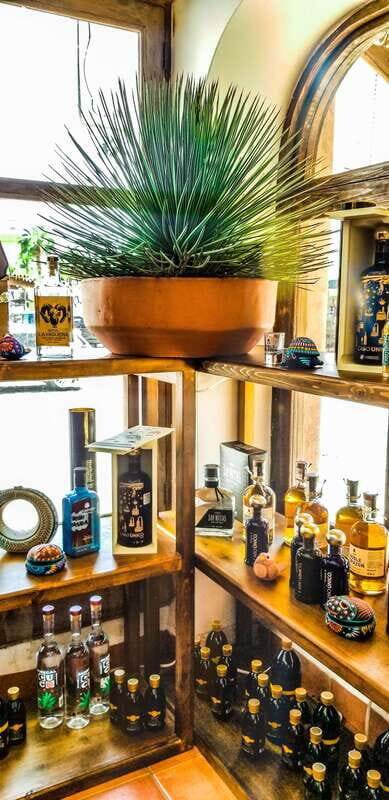 Tequila & Mezcal Tasting Experience - Three Mezcals and Snack Pairings Like Grasshoppers
