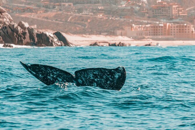 The Finest Private Yacht Experience in Cabo - Weather and timing: how to set yourself up for the best day
