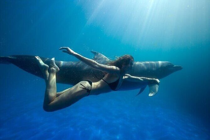 The only Natural Space Dolphin Encounter in Cabo Optional Pickup! - Key points you’ll care about