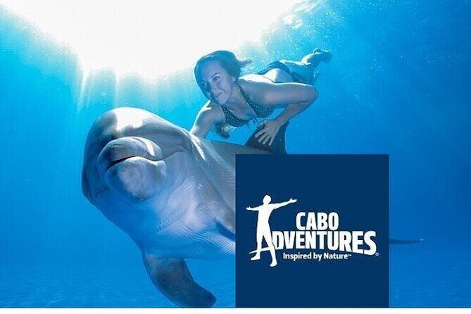 The only Natural Space Dolphin Encounter in Cabo Optional Pickup! - At a Glance: a one-hour Cabo dolphin encounter for about $155