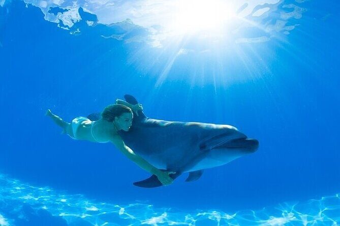 The only Natural Space Dolphin Encounter in Cabo Optional Pickup! - Photos, videos, and tipping: the part you should budget for