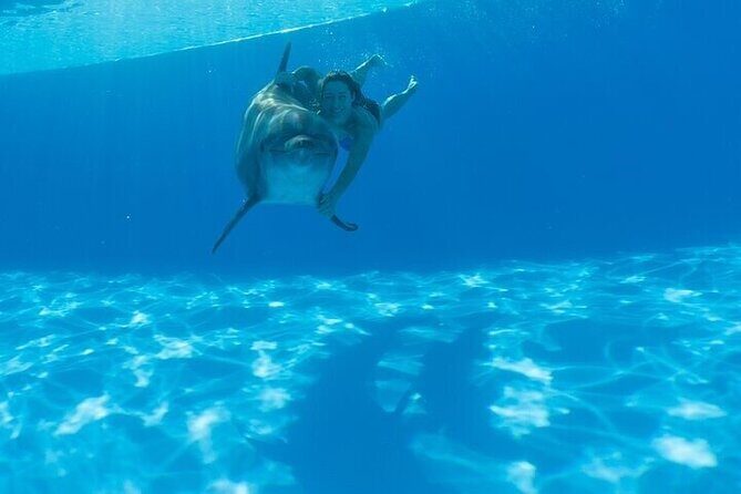 The only Natural Space Dolphin Encounter in Cabo Optional Pickup! - Is this worth it? A practical value check