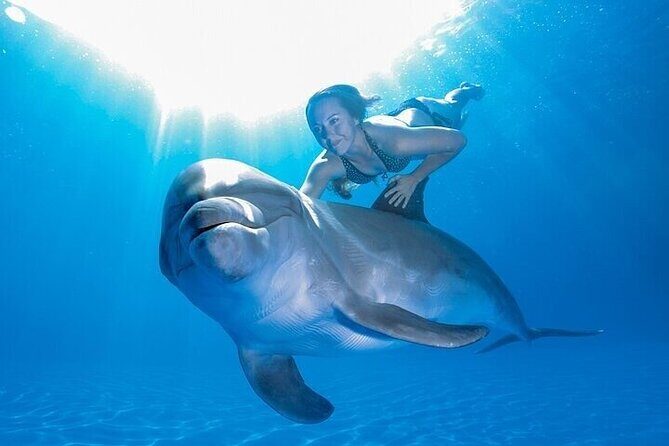 The only Natural Space Dolphin Encounter in Cabo Optional Pickup! - Who this tour fits best