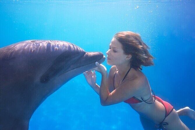 The only Natural Space Dolphin Encounter in Cabo Optional Pickup! - Price and logistics: what’s included and what can cost extra