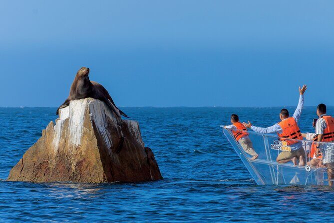 The Original Clear Boat – Cabo’s Signature Landmark Experience - Price and value: what $14.93 buys you in Cabo