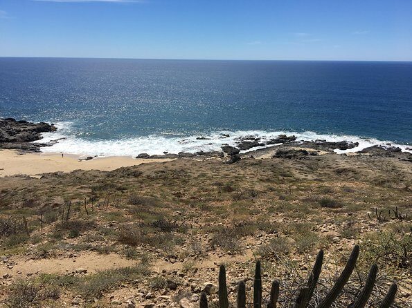 Todos Santos Day Trip from Cabo San Lucas - Guide Energy Makes the Day: Angel, Daniel, Giovanni, Charlie, and More