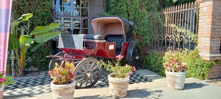 Tour Todos Santos Magical Town, Hotel California - Quick Hits Before You Go