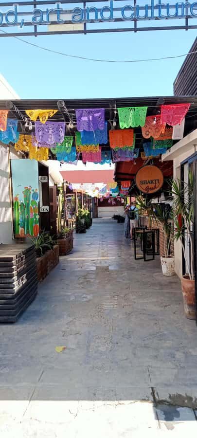 Tour Todos Santos Magical Town, Hotel California - Blanket Factory Shopping and Glass Creations: Buy With Confidence, Not Guesswork