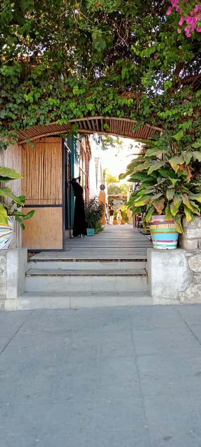 Tour Todos Santos Magical Town, Hotel California - Should You Book This Todos Santos Magical Town Tour?