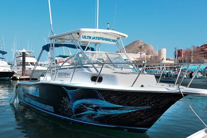 Ultimate Fishing Experience in Cabo - Sea life bonus: whales, turtles, dolphins, and sea lions