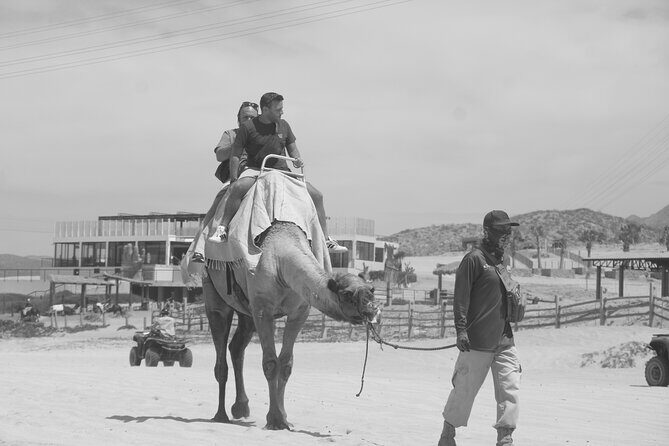 Unique experience on Sky Bike, Atv and Camels from Cabo San Lucas - Price and logistics: what $140 covers, and what can cost extra