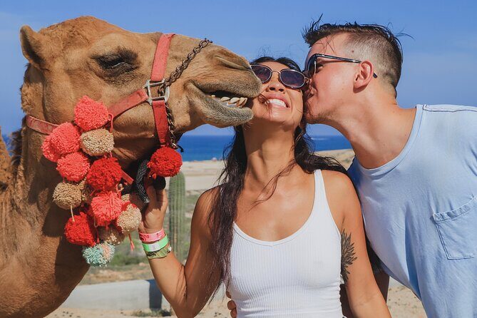 UTV Adventure with Free Camel Ride and Sky Bikes - Camel Encounter and Beach Riding: Two Per Camel, One Big Memory