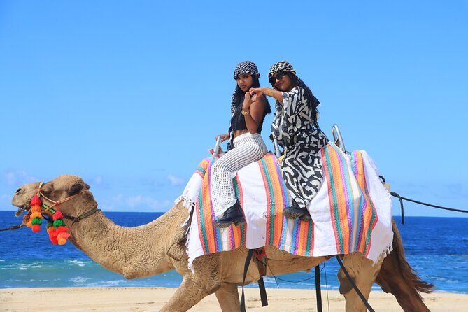 UTV Adventure with Free Camel Ride and Sky Bikes - Sky Bikes and Ecological Hike: Higher Views, A Different Kind of Work