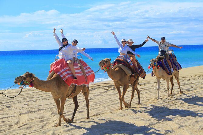 UTV Adventure with Free Camel Ride and Sky Bikes - Who Should Book This UTV + Camel + Sky Bikes Tour
