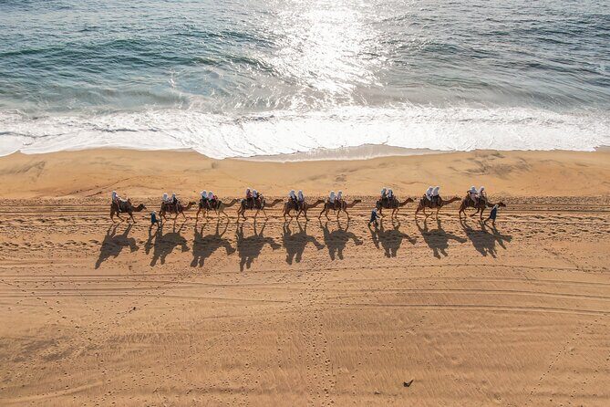 UTV and Camel Ride in the Cabo Desert - Snacks, drinks, and the photo moment you should plan for