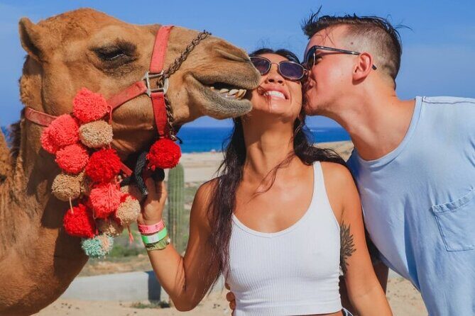 UTV and Camel Ride in the Cabo Desert - What the included bottled comforts say about the tour style
