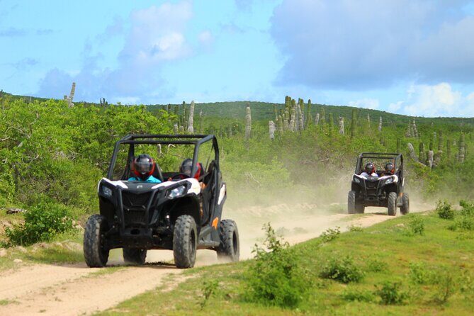 Viper Trail UTV Small-Group Experience in Cabo San Lucas - Key Things I’d Put on Your Radar