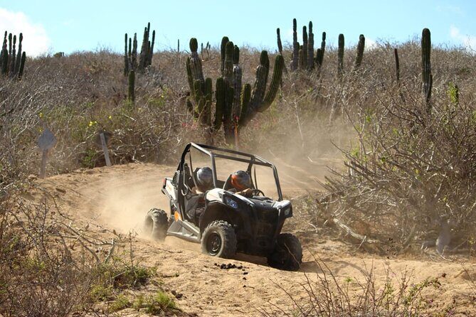 Viper Trail UTV Small-Group Experience in Cabo San Lucas - Stop 1: Cabo San Lucas and the First Moments on the Trail