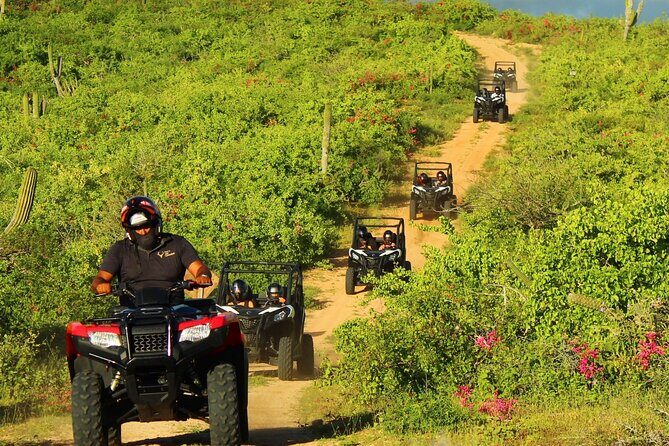 Viper Trail UTV Small-Group Experience in Cabo San Lucas - Along the Route: What the Stops Look Like in the Real World