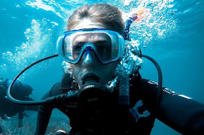 Whale and Dive Combo Tour in Los Cabos - The Human Side: Guides Who Make You Feel Safe