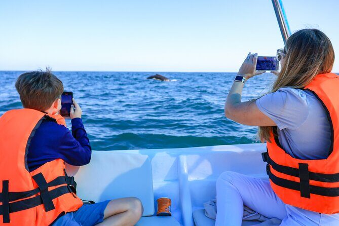 Whale Tour, Arch, Professional Photos & Hydrophone - Whale Watching With the Arch as the Main Character