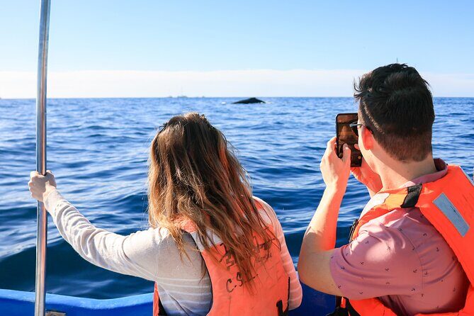 Whale Tour, Arch, Professional Photos & Hydrophone - Professional Photos Included: How to Get the Best Results