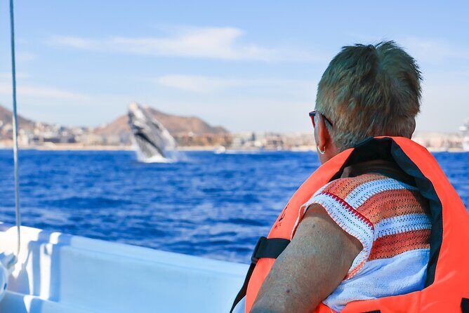 Whale Tour, Arch, Professional Photos & Hydrophone - The Route: How the Arch Stop Works in a 2-Hour Trip