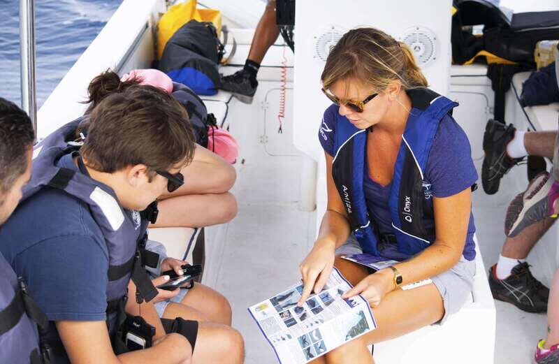 Whale Watch Cabo: Zodiac Whale Adventure - FREE Photos - Why this Whale Watch Cabo zodiac trip feels different