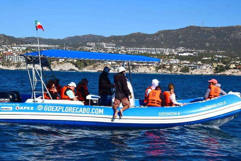 Whale Watch Cabo: Zodiac Whale Adventure - FREE Photos - Price and value: why $122 can actually make sense