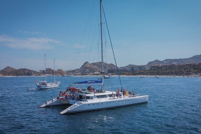 Whale Watching & Arch Catamaran Cruise in Cabo San Lucas - EcoBar Marina Meeting Point: Find It Fast, Check In Early