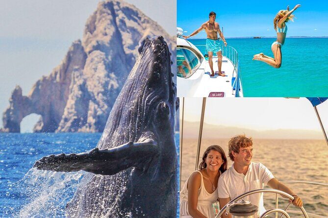 Whale Watching & Arch Catamaran Cruise in Cabo San Lucas - A Two-Hour Trimaran Cruise That Keeps the Views Moving