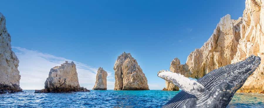 Whale Watching, Cabo San Lucas Arch, and a Trip to Playa del Amor - Boat-to-Beach Sales Pressure: How to Handle It Without Killing the Day