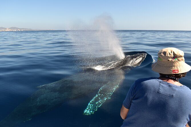 Whale Watching Cabo-Women crew-Sightings Guaranteed & Free Photos - The hydrophone part: why hearing whale songs is a game changer