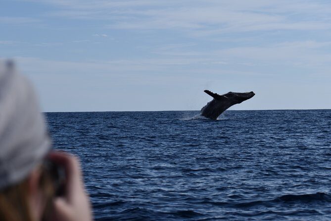 Whale Watching Cabo-Women crew-Sightings Guaranteed & Free Photos - Free digital photos and the second-tour whale warranty
