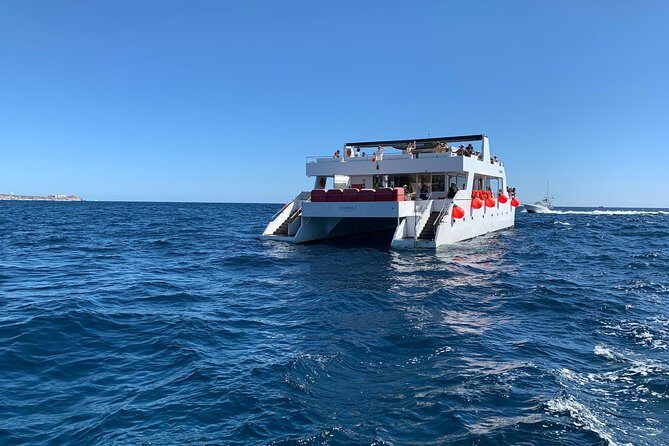 Whale Watching Cruise in Cabos San Lucas and Ground Transportation - What to Bring: Your “No-Drama” Whale Day Kit