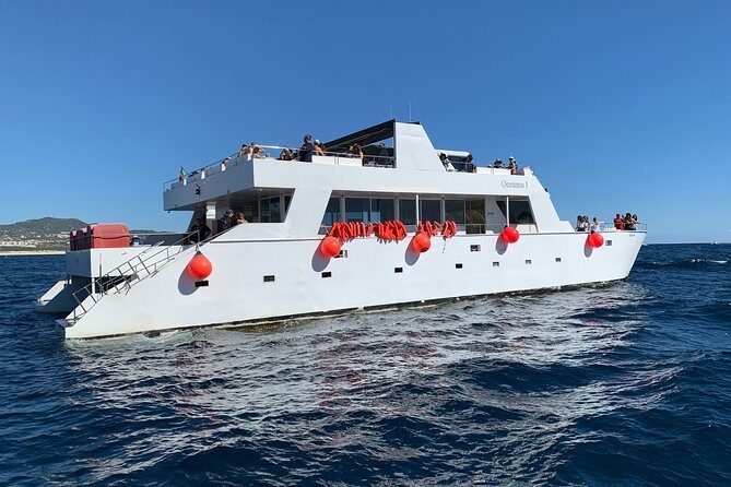 Whale Watching Cruise in Cabos San Lucas and Ground Transportation - Comfort, Safety, and the Small Details That Matter
