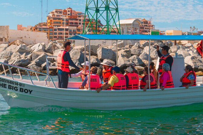 Whale Watching Experience in Cabo San Lucas 2 hours - On-Board Comfort: Restroom, Water, and a Practical Backup Plan