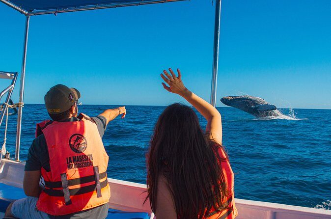 Whale Watching Experience in Cabo San Lucas 2 hours - Weather and Timing: When You’ll Get the Best Shot at Whales