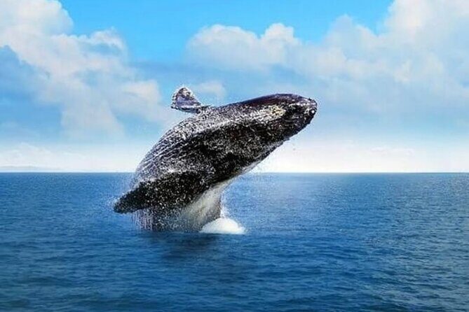 Whale Watching in Cabo: 2-Hour Small Group Tour to The Arch - The 45-minute Cabo coast cruise: Arch views and quick photo time