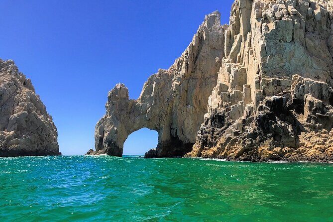 Whale Watching in Cabo: 2-Hour Small Group Tour to The Arch - The 1-hour whale watching run: what to expect and how to spot action